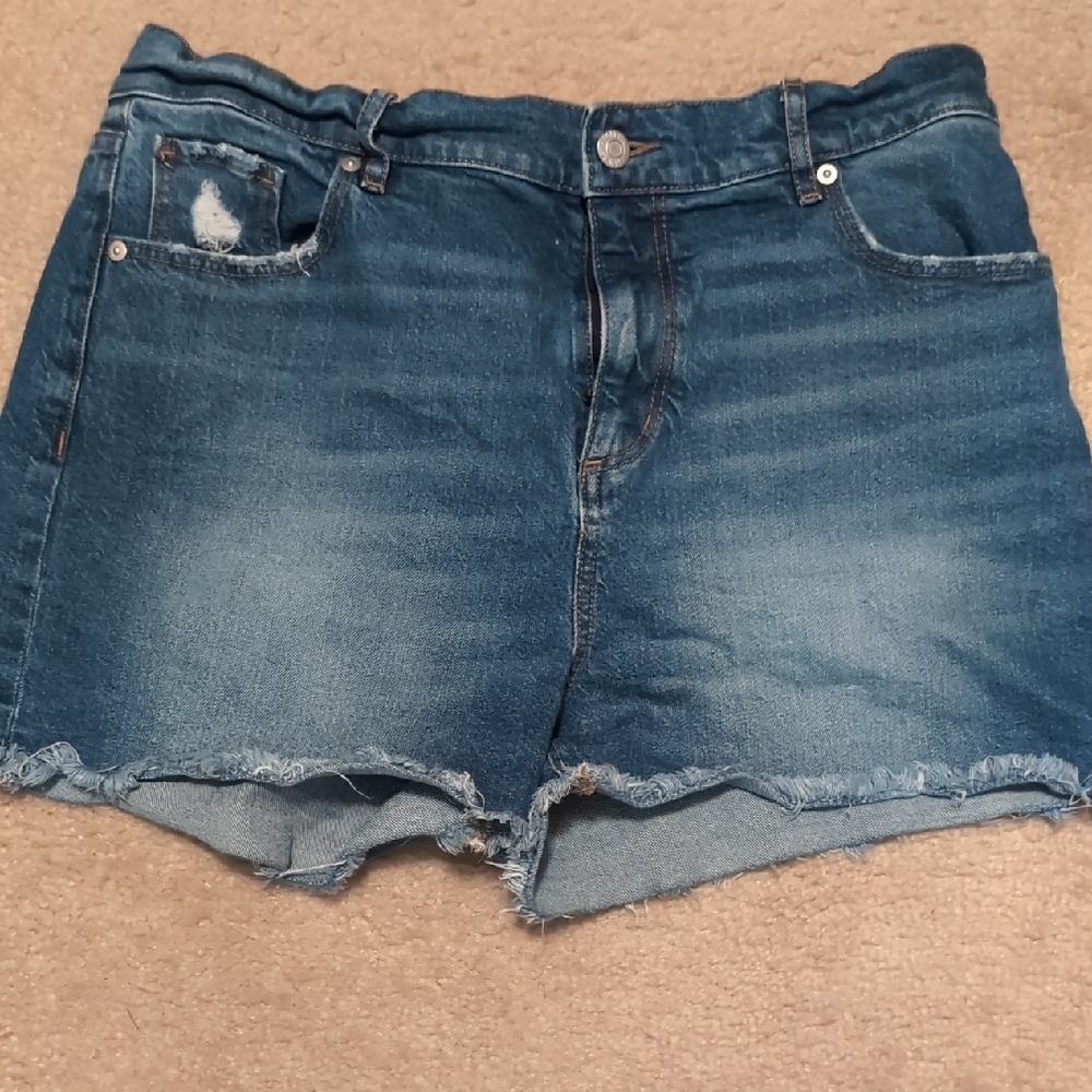 LOFT Frayed Hem Blue Denim Shorts